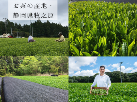 〈メール便〉深蒸し一番茶　プレミアム緑茶5ｇ×30p ティーバッグ　静岡県産　400〜500mlできます　お茶　メール便なので送料がお得です