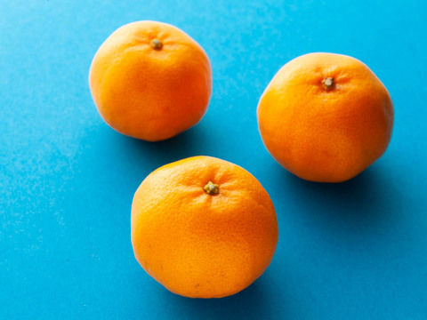 【柑橘食べ比べセット】約10㎏ 柑橘3種以上の詰め合わせ