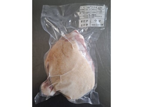 ジビエ　やわらか仔イノシシ　【皮付き】【骨付き】　ウデ　680g