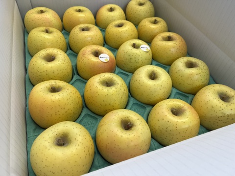 【ロマンシリーズ】　藤原ロマン　家庭用小玉 約5kg（20～23玉）