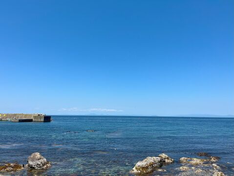 【青森県直送】お試し鮮魚ＢＯＸ　約1キロ