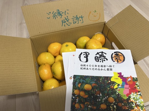 【お正月も届く！】S～Mサイズ3kg とみ子ばぁばの有田みかん糖度12度以上/有田産