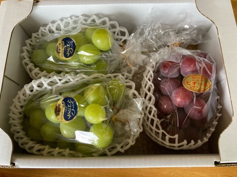 大人気！　食べ比べ　シャインマスカット2房＋ニューピオーネ１房　1房約６００〜７００g       2㎏化粧箱入り