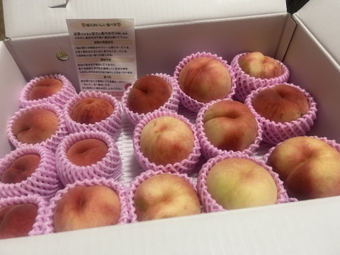 【お試し規格】訳あり C品　約5kg　13～20玉　8月下旬　お得にたくさん食べたい方へ　農家直送