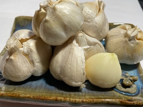 お米５kgとにんにく（※白）＆季節野菜セット