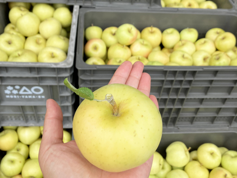 低農薬で皮ごとガブり🍏丸かじり用小玉サイズ4kg 家庭用りんご大容量バラ詰め【小玉りんご】