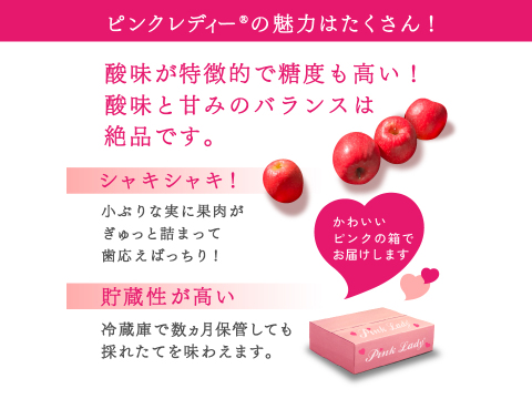 発送中🍎 ピンクレディー®︎3キロ箱  長野県 信州 安曇野 リンゴ 幻 幻のリンゴ 予約 希少 旬 6玉〜16玉サイズ 商品ID42100 ピンクレディー