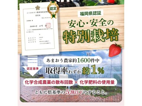 【冷凍いちご】あまおういちご たっぷり 2㎏