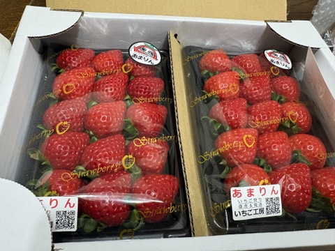 埼玉いちご「あまりん」270ｇ×2ｐ