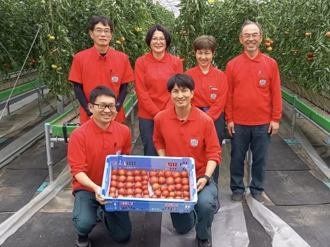 【お試し】ずっしり❗️ジューシー❗️朝採り完熟トマト(規格外)