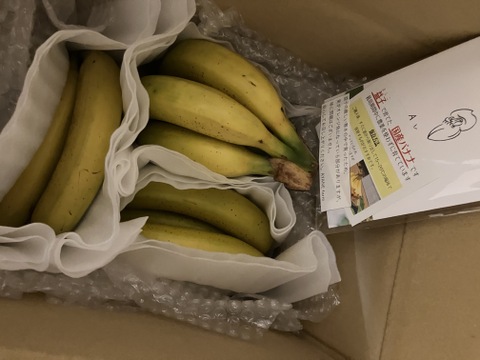 【ご家庭用】皮まで食べれる！農薬不使用、栃木県益子町産バナナ(2kg)