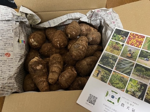 ねっとりとした！上野原の自然あふれる里山育ちの里芋1.8Kg