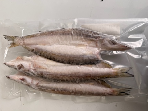 漁師厳選‼️漁師が作る干物豪華8種