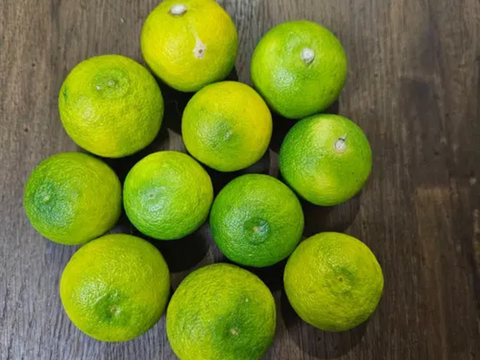 嵯峨峡冷蔵すだち　彩　2kg