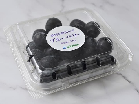 美味しいブルーベリー500g【おまけ付】（静岡県磐田市産）（冷蔵）100g×5パック
