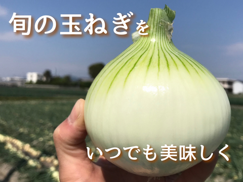 【玉ねぎ定期便】淡路島 季節の玉ねぎ 2kg箱 約6～8個入