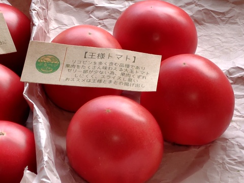 トマト大事典 トマト大事典 | 農文協編 |本 | 通販 | Amazon