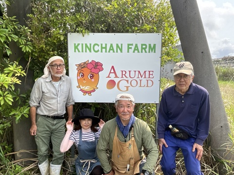 南国の太陽をたっぷり浴びて育ったとろける甘さのアップルマンゴー『アルメゴールド』