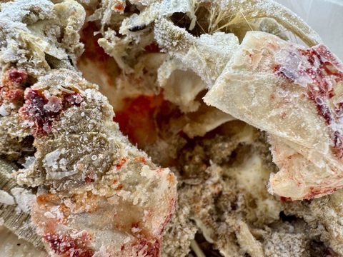 【訳あり】面に傷アリ！お得な高足ガニ1.1kg（3人用）