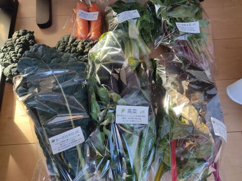 ✨【福袋】レアベジ・カボチャ含むお野菜セット（農薬・化成肥料不使用）おまけ付✨