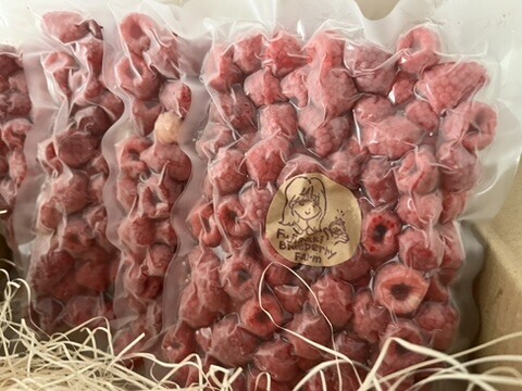甘酸っぱくて可愛い♪採れたてラズベリー｜収穫当日に冷凍 (1kg)