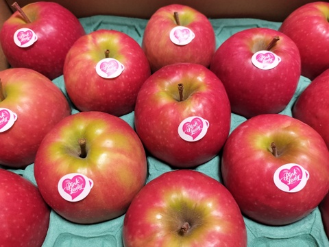 キュンとくる酸味りんご❗　ピンクレディー®（12個から16個）箱含め3キロ
