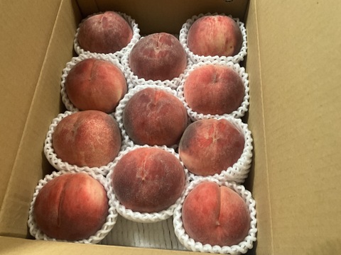 【7月-8月上旬収穫】約３kg９～12玉の桃１箱・山梨県南アルプス産で夏のご挨拶を