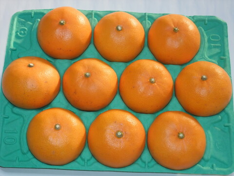 果汁・糖度タップリ！せとか特秀（贈答用・３kg）