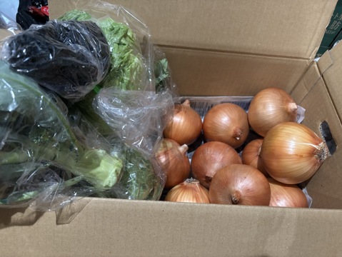 大好評，地層が違う淡路島、大玉ターザン(風袋込み3キロ)