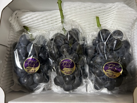 岡山県産
黒ぶどうのサラブレッド！
【ブラックビート】
家庭用約1kg〜以上（2〜3房）