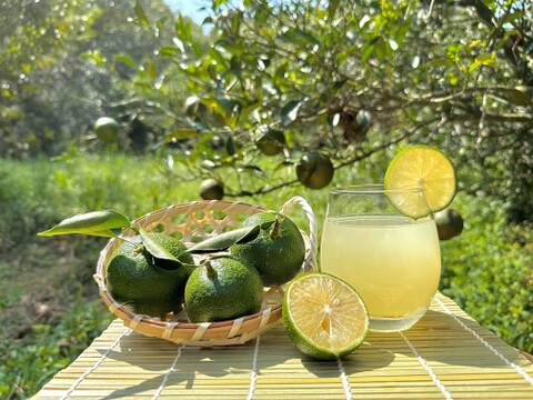 限定販売!!　生絞りへべす果汁1㎏×3個（冷凍）