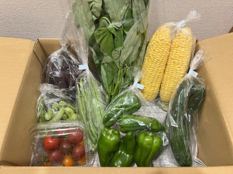 ＼シャキうま！／南房総の旬野菜セット！セレクトおまかせ【8品目】