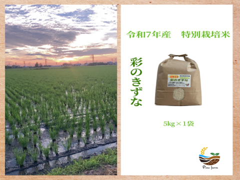 R7年産特別栽培米　彩のきずな　5㎏