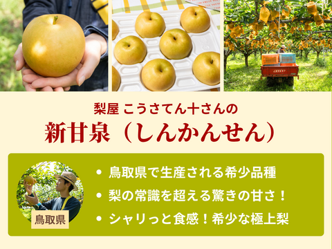 【売り切れ】 【限定100セット】秋のご褒美セット便（食べチョク公式）