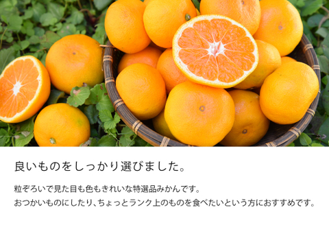 【12/4まで特別価格】【お歳暮ギフト】有田みかん2.5kg（ミックス S～2Lサイズ）贈答用 特選品　和歌山 311-5h