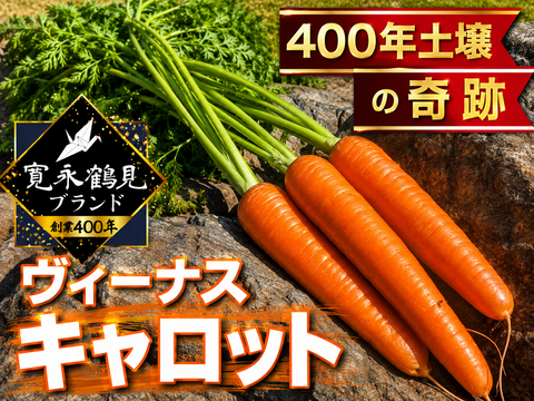 📺食彩の王国TV出演📺【お試し1キロ】糖度20度オーバー子供も虜になるヴィーナスキャロット【冬ギフト】