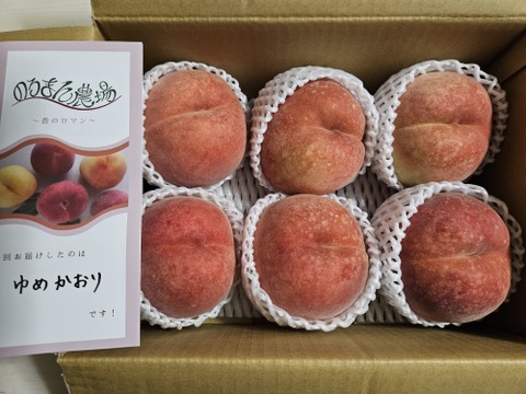 運命の出会い⁉️【67品種の桃を栽培】品種は何が届くかお楽しみ！白桃3㎏【夏ギフト】