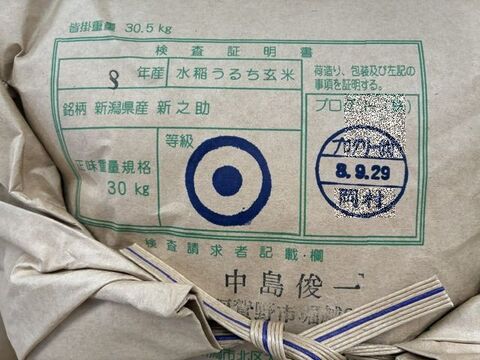 大粒で 粒感がありしっかりとした食感 冷めても固くなりにくい新米