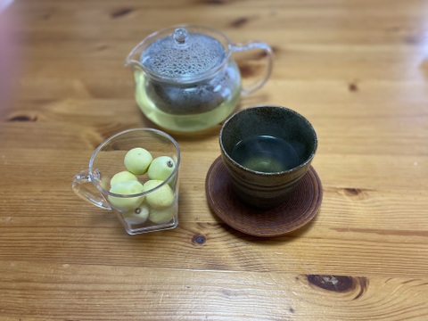 いっぱい食べたい方専用！3箱セット　凍ったままパクっと！特殊冷凍の完熟シャインマスカット🎵　ファミリーセット【フルーツギフト】【産直ギフト】