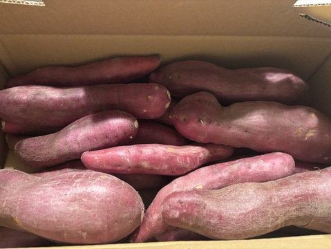 ほくほく食感と上品な甘さ！なると金時(訳あり)5kg