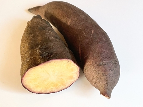 【栽培期間中　農薬不使用】見た目と違うシャキシャキ食感のヤーコン(1kg)