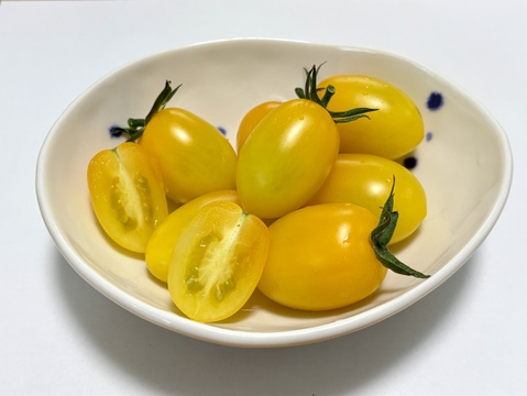 とまほっぺ】黄色アイコトマト 1kg｜愛媛・久万高原直送：愛媛県産の 