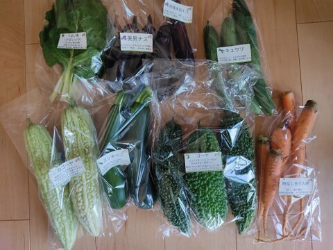 旬のお野菜セット（5～7品）クール便