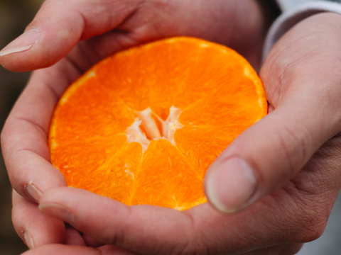 【予約限定価格】甘平 3kg 〜シャキッとした食感と弾ける粒感〜【家庭用】