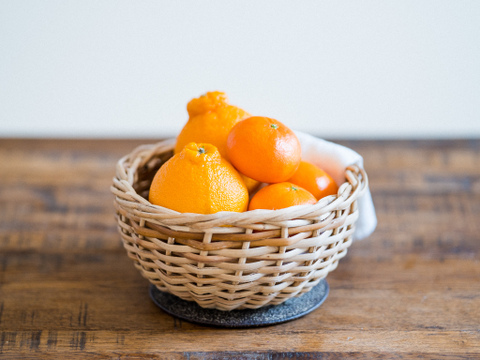 この時期限定！唐津産柑橘食べ比べセット約3kg
