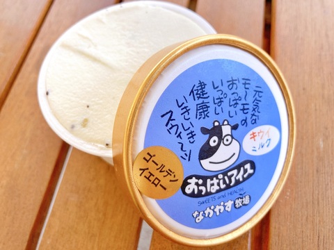 【ご褒美アイス】ゴールドキウイ・グリーンキウイ・抹茶の3種類のおいしいアイスシャーベット♪:ICE
