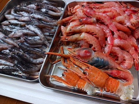 【魚ガチャ】欲張って2袋！何が入っているかわからない［未利用魚］おかず