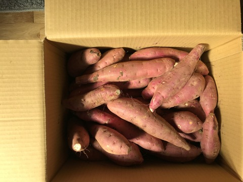 さつまいも(紅はるか)10kg S 〜Lサイズ