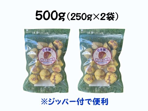 ほっこり濃厚！粗むき栗（冷凍） 500ｇ（フリーザーパック250g×2袋）