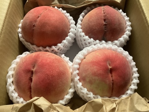 【シャキあま桃】かたくても甘い桃好き必見！桃のリレーが楽しめる！約2kg 約5~6玉